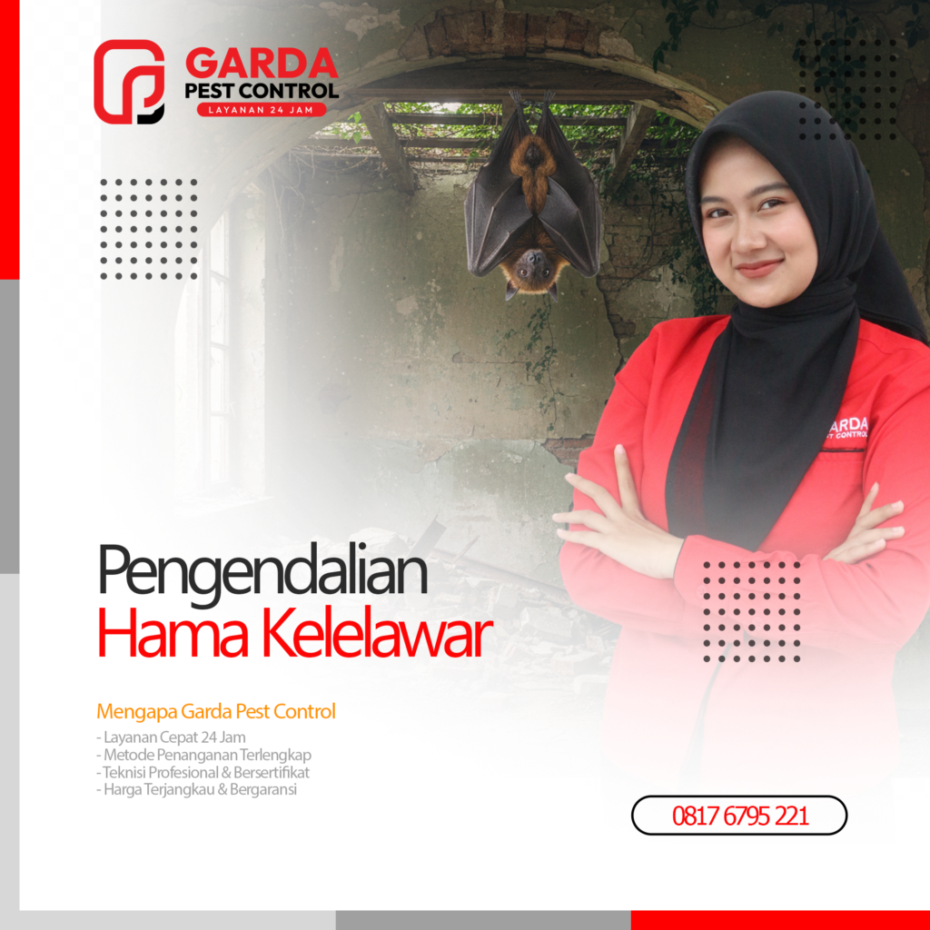 Jasa Pembasmi Kelelawar di Cirebon Pest Control Berkualitas
