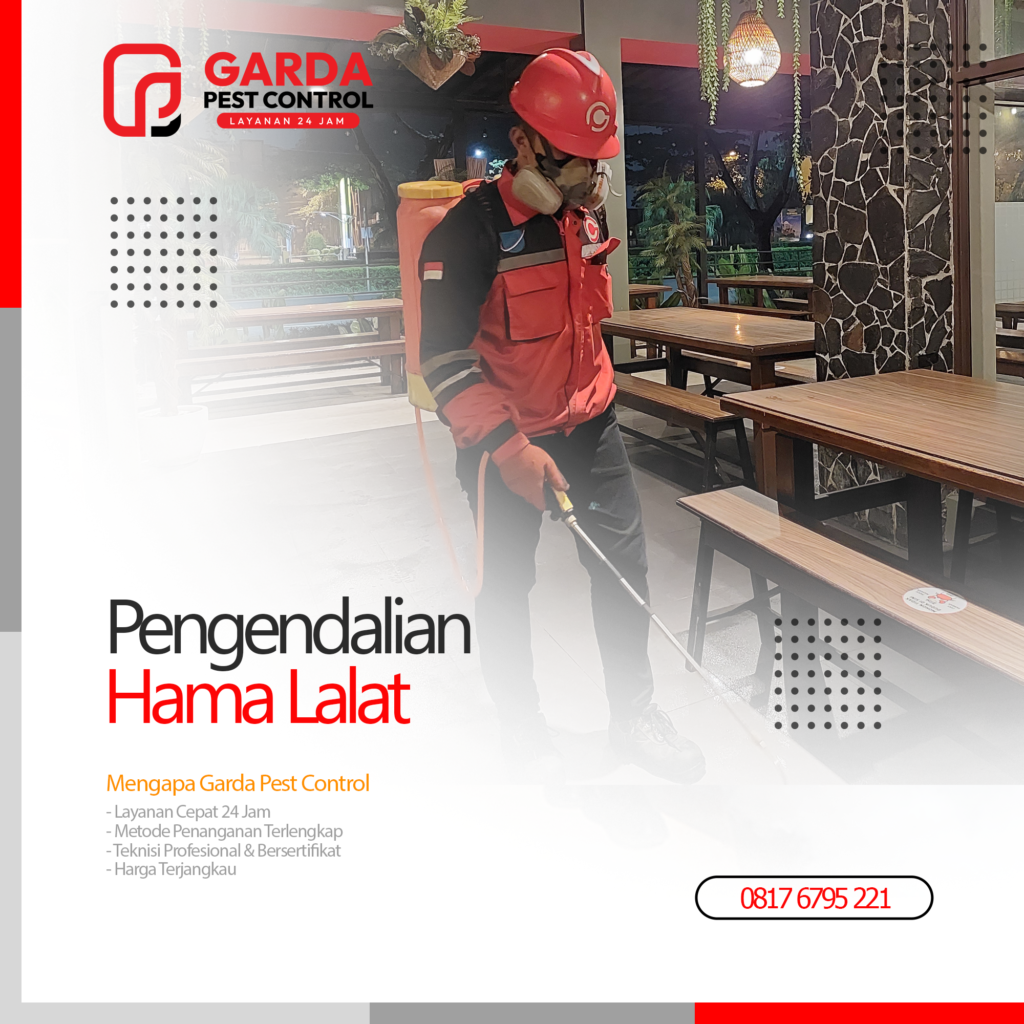 Jasa Pembasmi Lalat di Cirebon Pest Control Berpengalaman