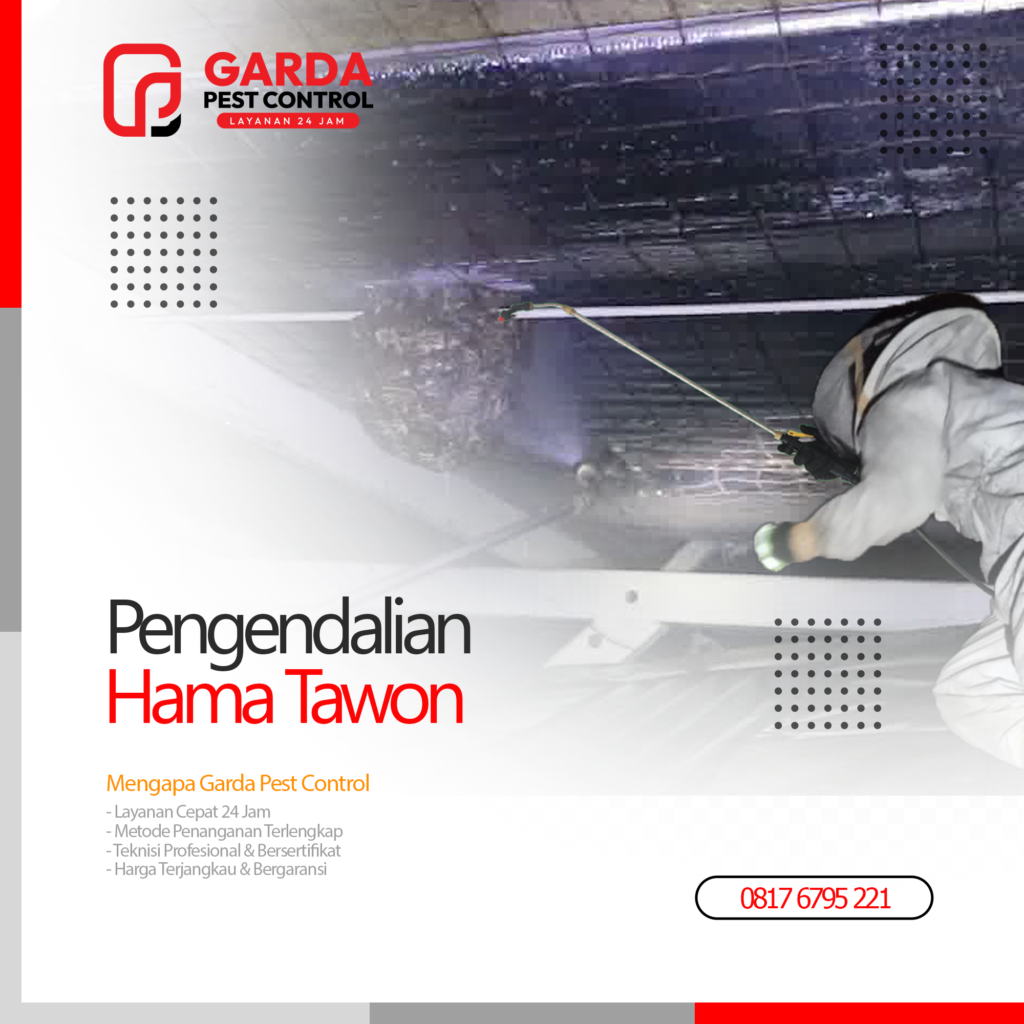Jasa Pembasmi Tawon di Cirebon Pest Control Berpengalaman