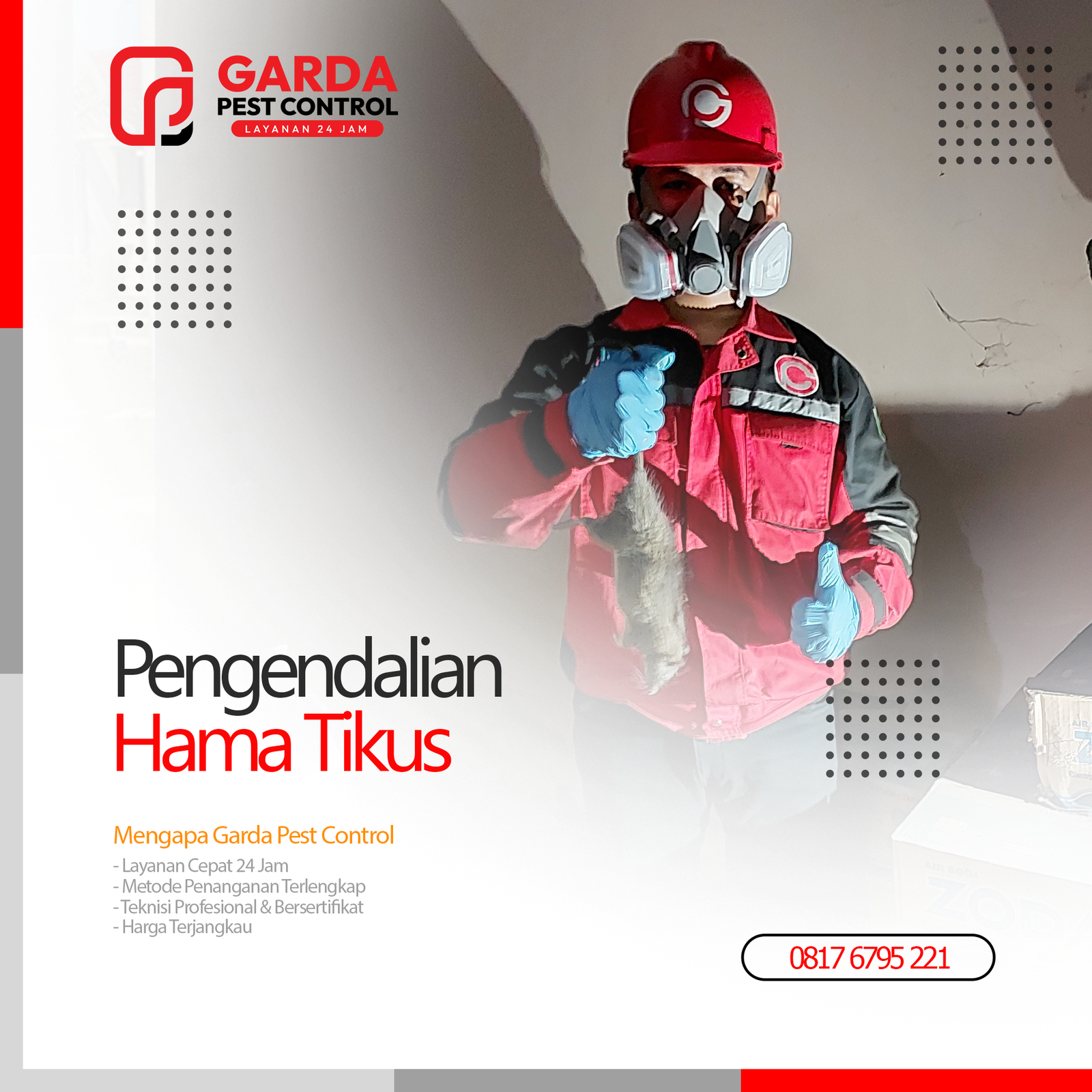 Jasa Pembasmi Tikus di Cirebon Pest Control Profesional