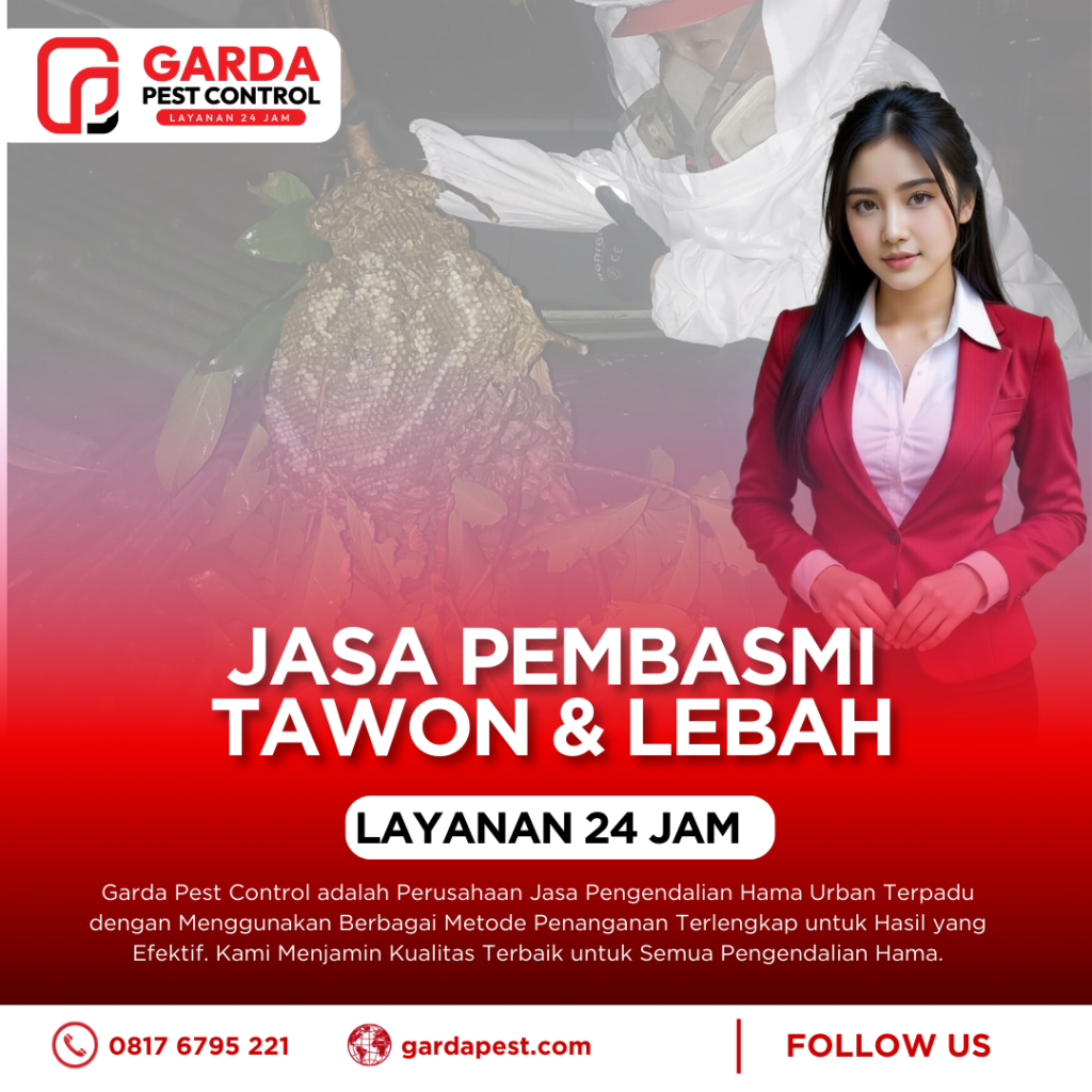 Jasa Pembasmi Sarang Tawon di Cirebon Aman Tuntas dan Bergaransi