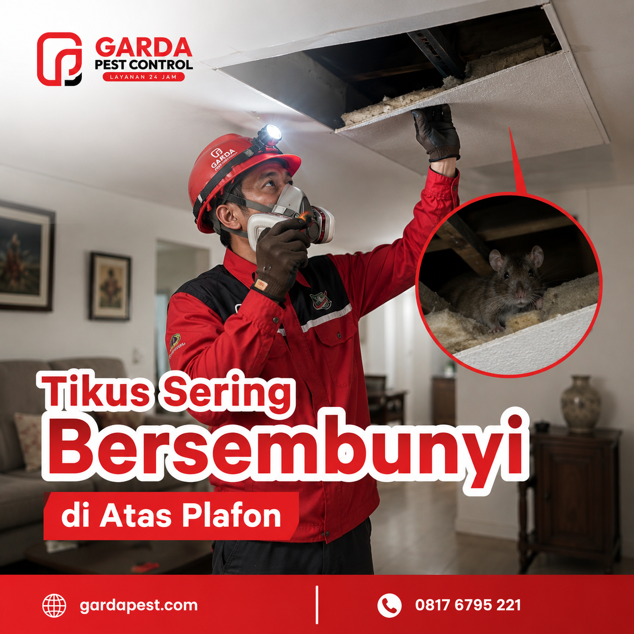 Pest Control Tikus Cirebon: Solusi Tuntas dan Bergaransi dari Agata