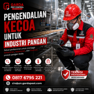 Kontak Darurat Jasa Pembasmi Kecoa 24 Jam Cirebon