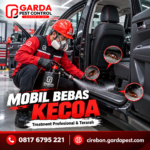 Jasa Pembasmi Kecoa di Mobil Cirebon Profesional dan Terpercaya