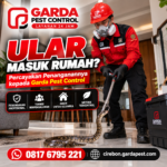 Jasa Pembasmi Ular untuk Area Gudang Pabrik di Cirebon